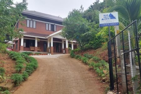 Blue Hills View